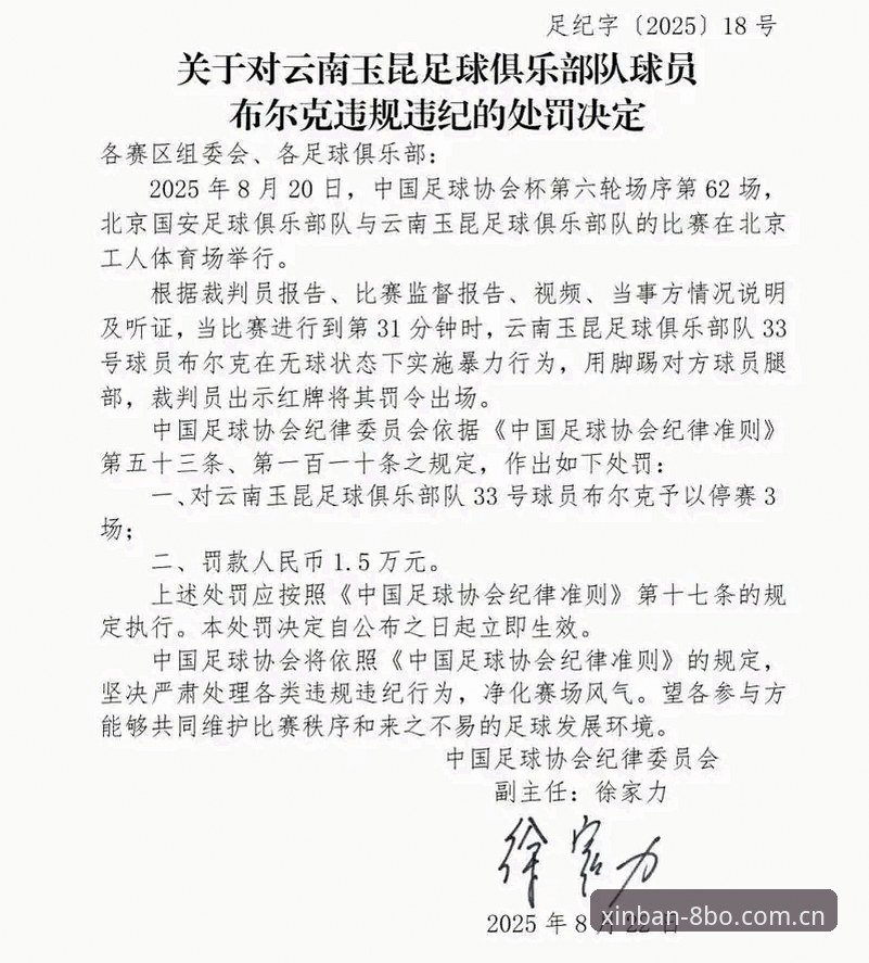 中国足协第三批禁足名单深度解读：从处罚看行业规范使用指南